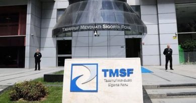 TMSF üç varlığı satışa çıkardı