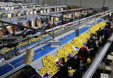 Türkiye, yılın ilk çeyreğinde en fazla yaş meyve sebzeyi Irak’a gönderdi Türkiye, yılın ilk çeyreğinde en fazla yaş meyve sebzeyi Irak’a gönderdi