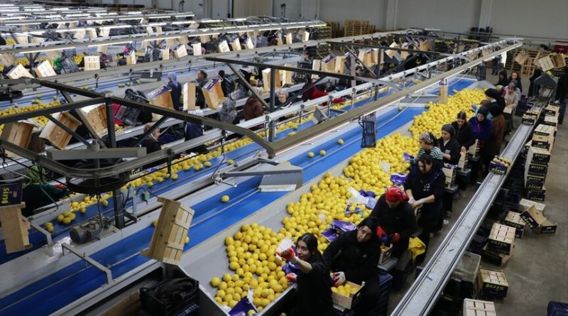 Türkiye, yılın ilk çeyreğinde en fazla yaş meyve sebzeyi Irak’a gönderdi Türkiye, yılın ilk çeyreğinde en fazla yaş meyve sebzeyi Irak’a gönderdi